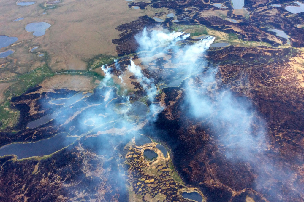 Rök pyr från markerna kring Bogus creek, där en av två skogsbränder härjat i Yukon-deltat i sydvästra Alaska under sommaren. Foto: AP